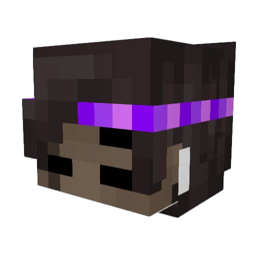 notasp3ct Minecraft avatar head, 3D render