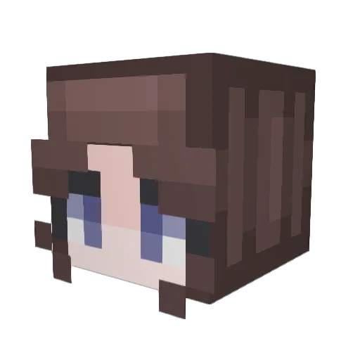 notastate934 Minecraft avatar head, 3D render