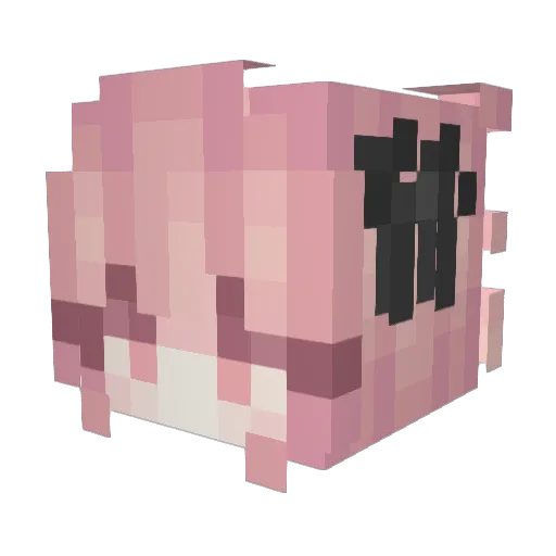 notaweeboo Minecraft avatar head, 3D render