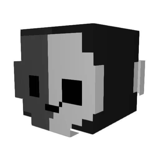notbro23 Minecraft avatar head, 3D render