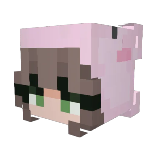 notcate Minecraft avatar head, 3D render