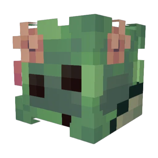 notdeadyet772 Minecraft avatar head, 3D render