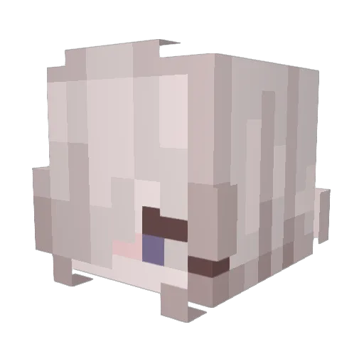 notechan Minecraft avatar head, 3D render