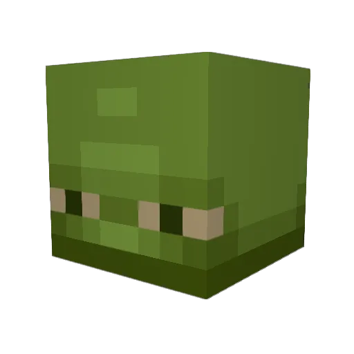 noted_nut7 Minecraft avatar head, 3D render
