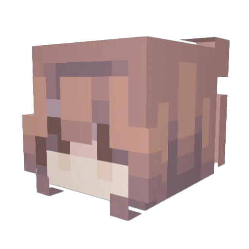 notemma25 Minecraft avatar head, 3D render