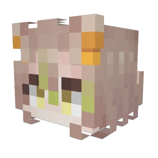 notes_noah Minecraft avatar head, 3D render