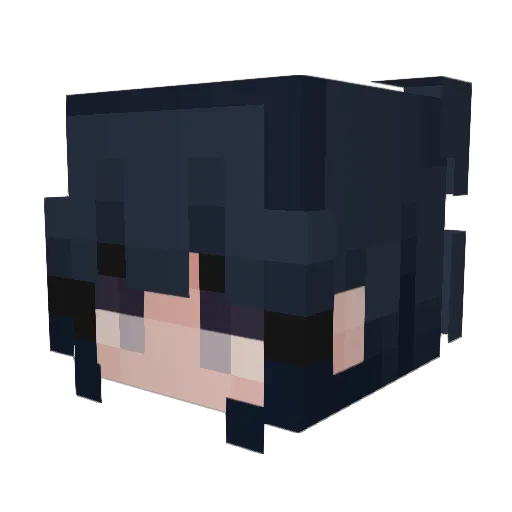 notfreeusername Minecraft avatar head, 3D render