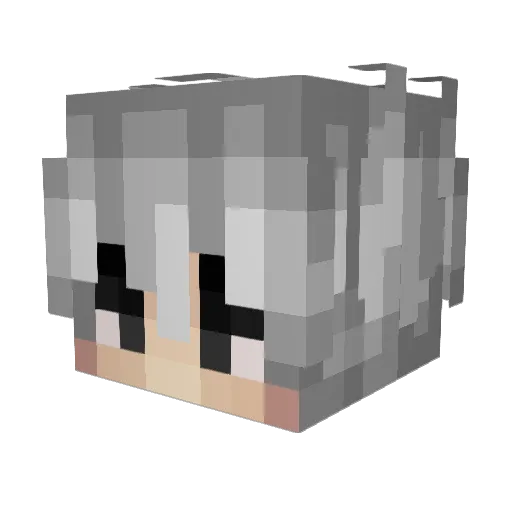 notfuzzy1 Minecraft avatar head, 3D render
