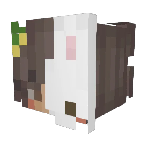notgolderabbit Minecraft avatar head, 3D render