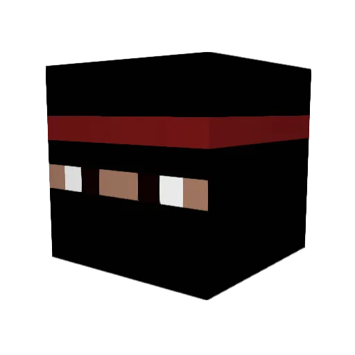 nothing521 Minecraft avatar head, 3D render