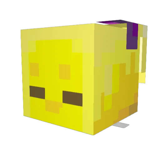 nothingbagelz Minecraft avatar head, 3D render