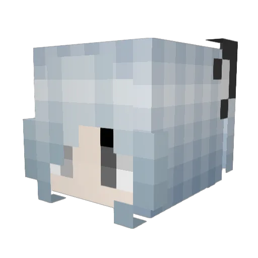 nothingmuffin5 Minecraft avatar head, 3D render