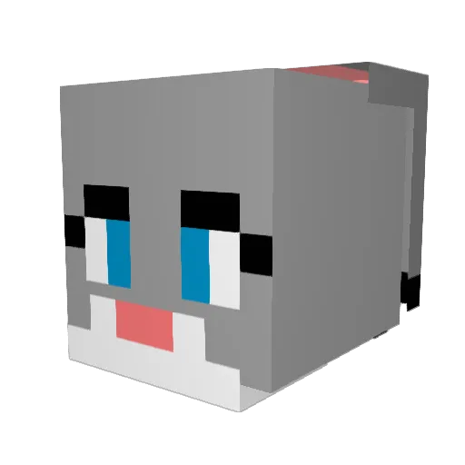 nothingrevealed Minecraft avatar head, 3D render