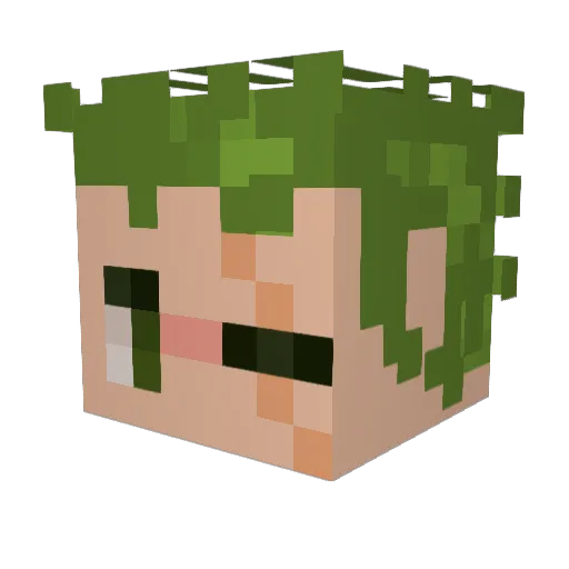nothpx Minecraft avatar head, 3D render