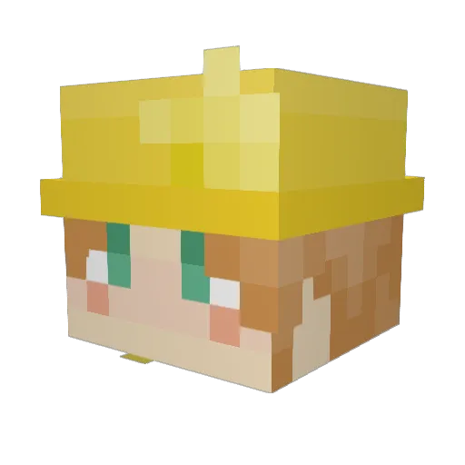 nothroughroad Minecraft avatar head, 3D render