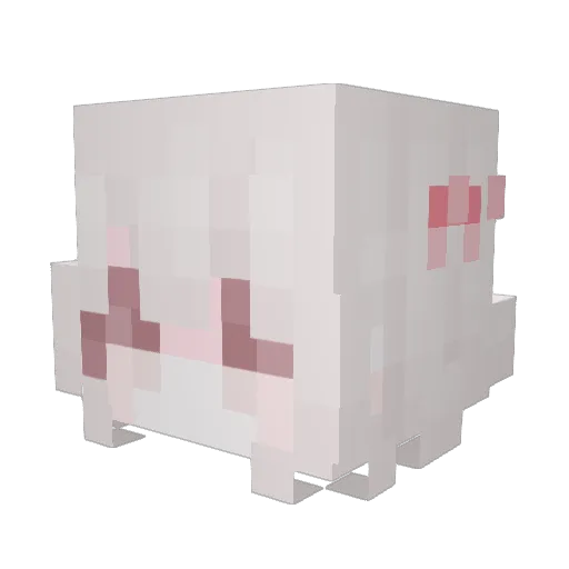 noticin Minecraft avatar head, 3D render