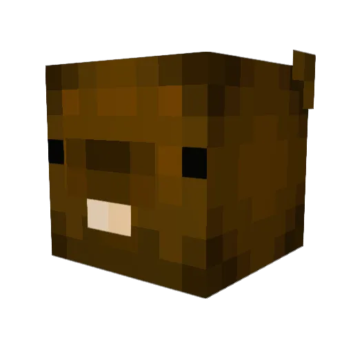 notigorwastaken Minecraft avatar head, 3D render