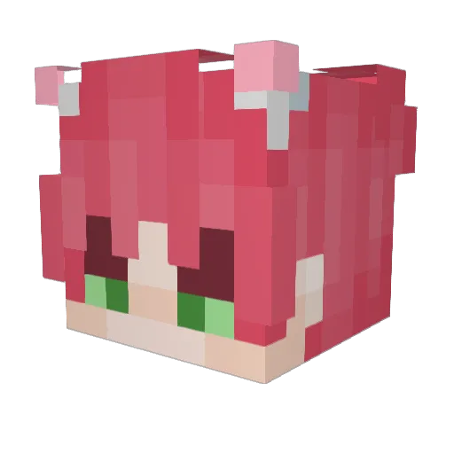 notiscoffer Minecraft avatar head, 3D render