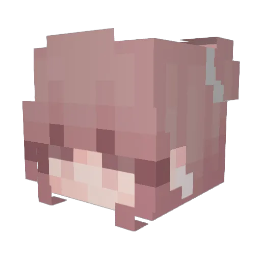 notjosie6 Minecraft avatar head, 3D render
