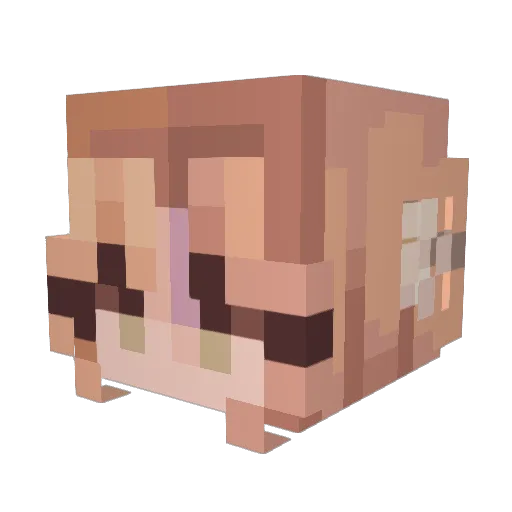 notjulez Minecraft avatar head, 3D render