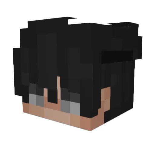 notkoops Minecraft avatar head, 3D render