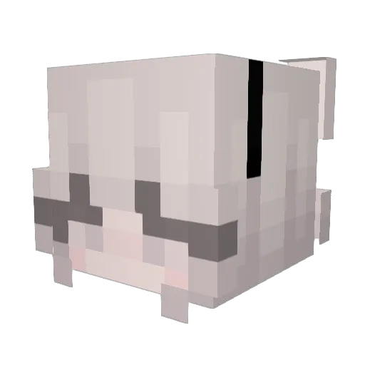 notlikeher Minecraft avatar head, 3D render