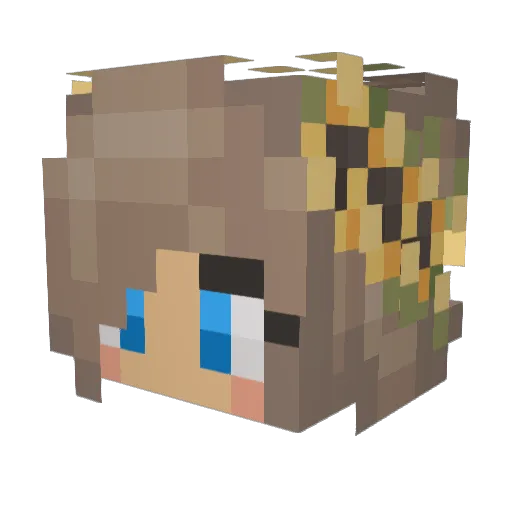 notlikethebug Minecraft avatar head, 3D render