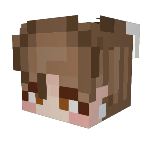 notlongbutgood Minecraft avatar head, 3D render