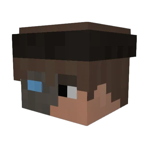 notlucas12 Minecraft avatar head, 3D render