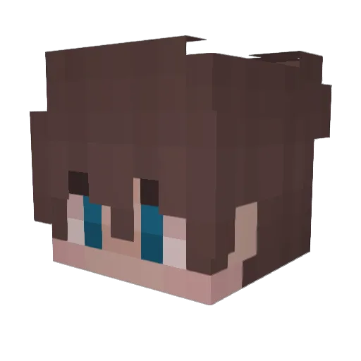 notluna3 Minecraft avatar head, 3D render
