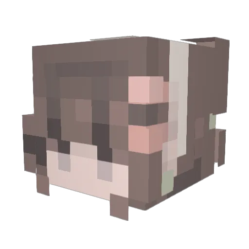 notmely Minecraft avatar head, 3D render