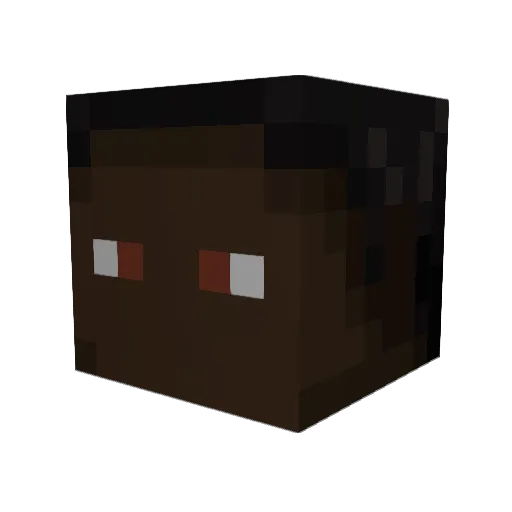 notmoneyboy Minecraft avatar head, 3D render