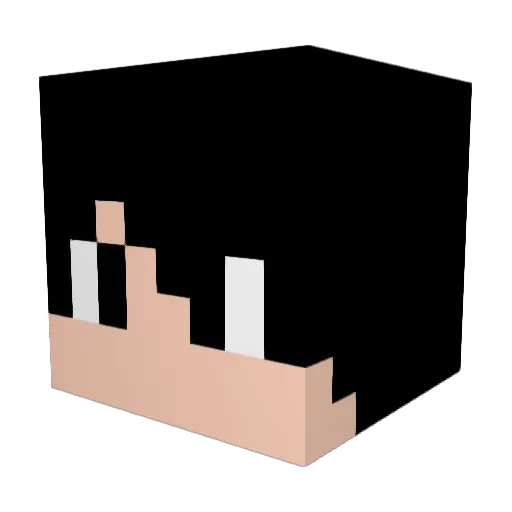 notmymain47 Minecraft avatar head, 3D render