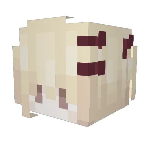 notmyreality Minecraft avatar head, 3D render