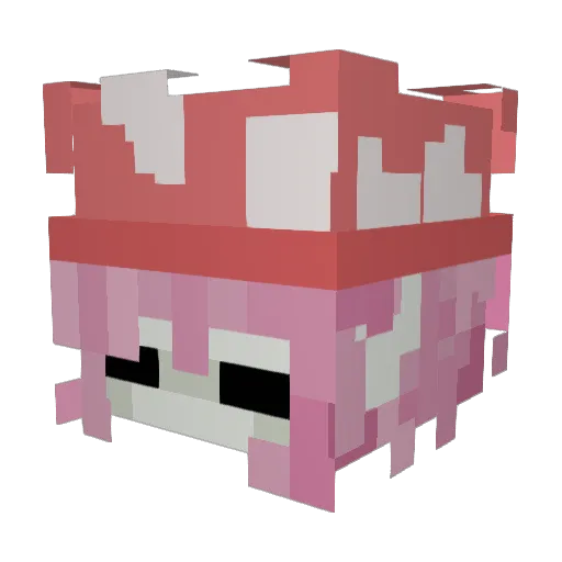 notmythunder Minecraft avatar head, 3D render