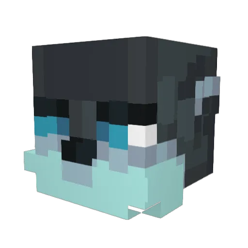 notnellienelson Minecraft avatar head, 3D render