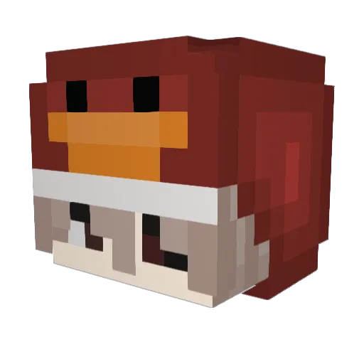 notnixxyy Minecraft avatar head, 3D render