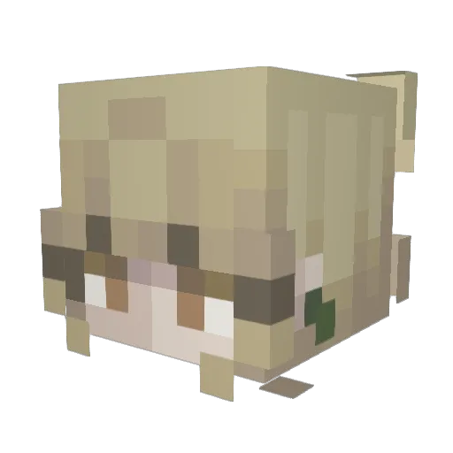 notnorman18 Minecraft avatar head, 3D render