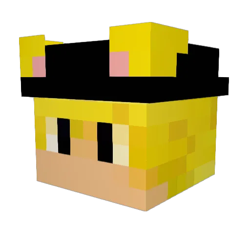 notonyourlevel Minecraft avatar head, 3D render