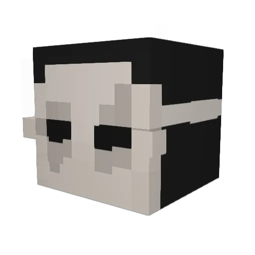 notpeatryk Minecraft avatar head, 3D render