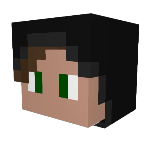 notpinguin Minecraft avatar head, 3D render