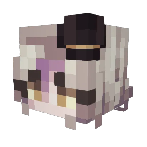 notpooks Minecraft avatar head, 3D render