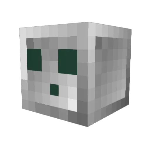 notpoopdylan Minecraft avatar head, 3D render