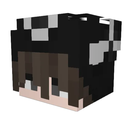 notpyqo Minecraft avatar head, 3D render