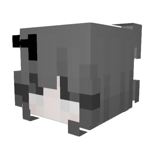notreal_notalive Minecraft avatar head, 3D render