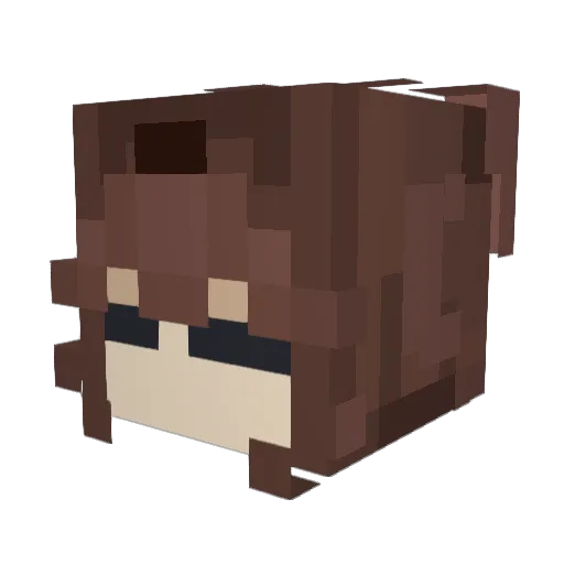notriva_ Minecraft avatar head, 3D render
