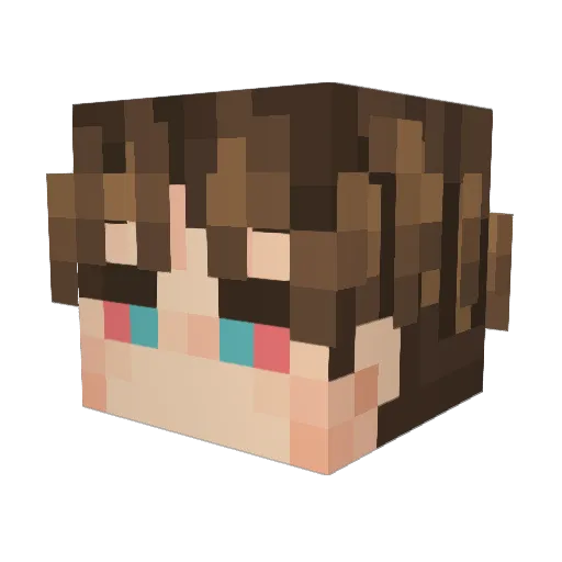 notrofls Minecraft avatar head, 3D render