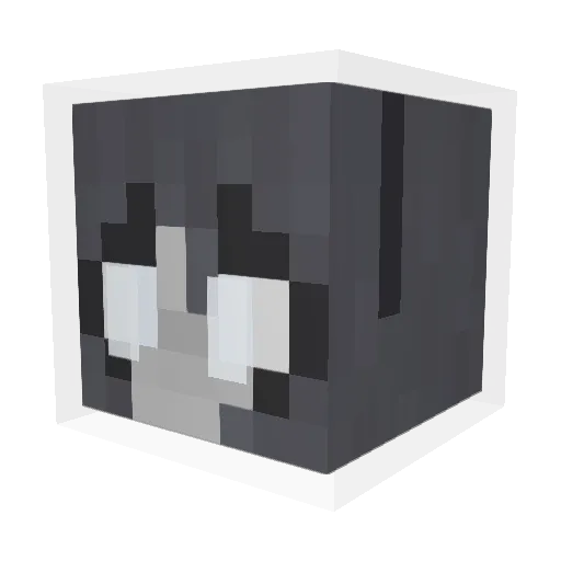 notroxxy Minecraft avatar head, 3D render