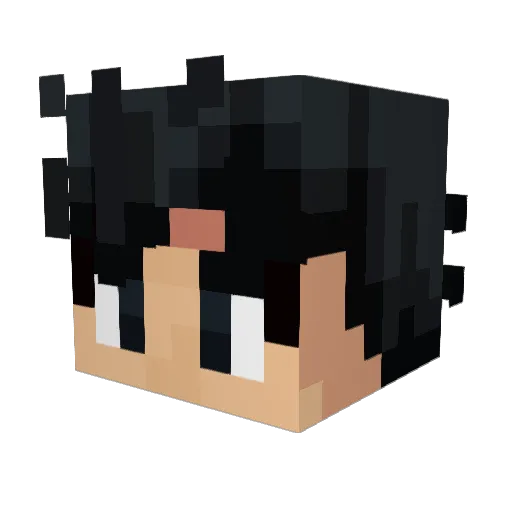 notsavitar Minecraft avatar head, 3D render