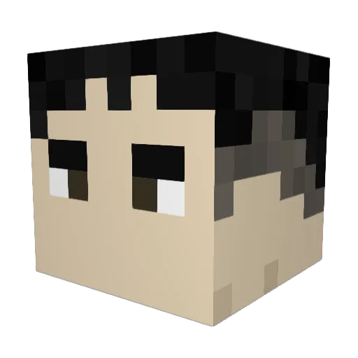 notserp46 Minecraft avatar head, 3D render